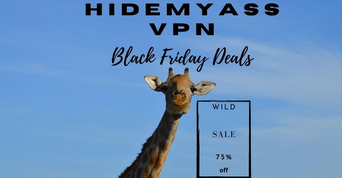 HideMyAss Black Friday Deals 2021: Hides your data !!! image